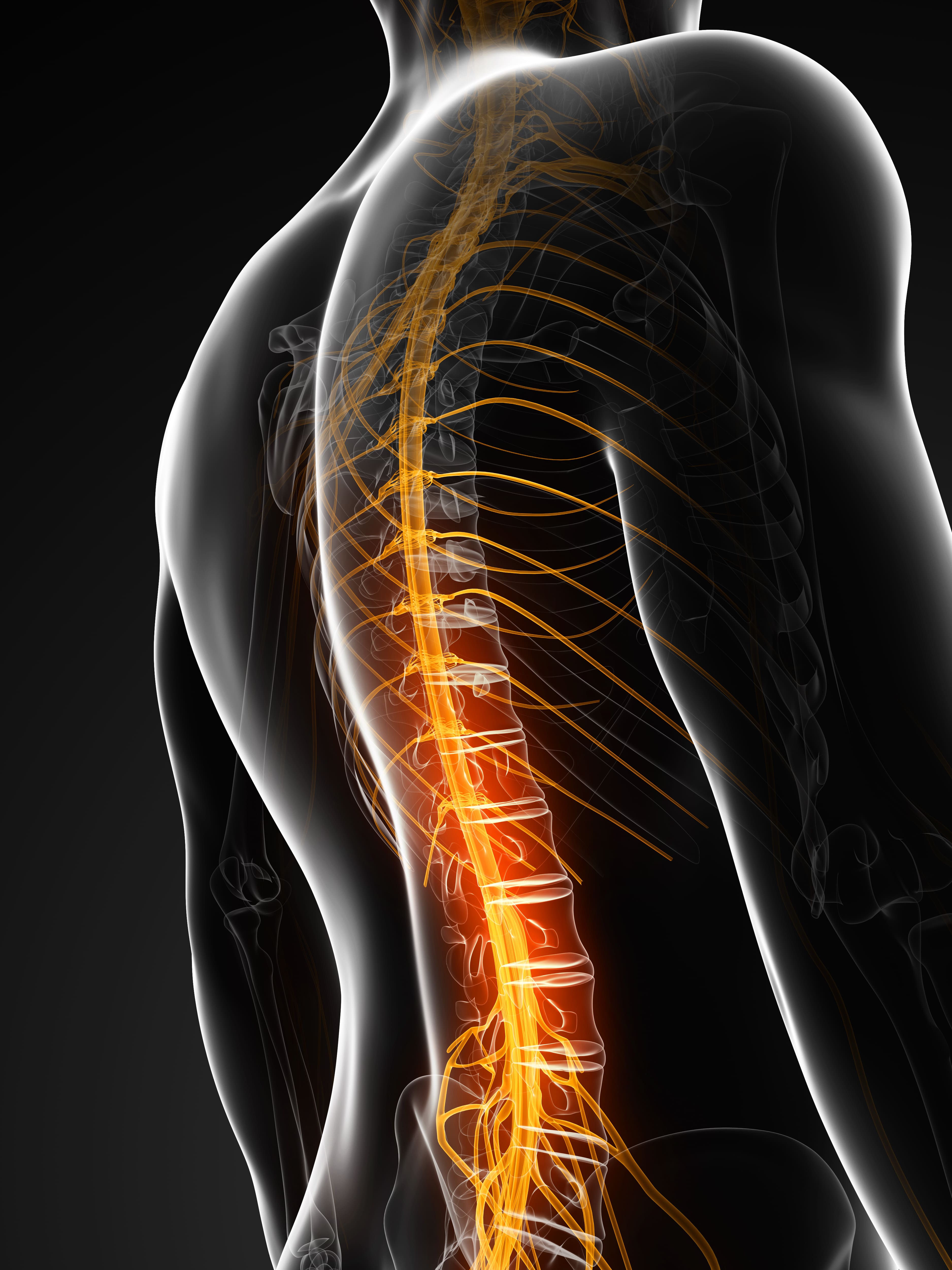 Understanding Ankylosing Spondylitis