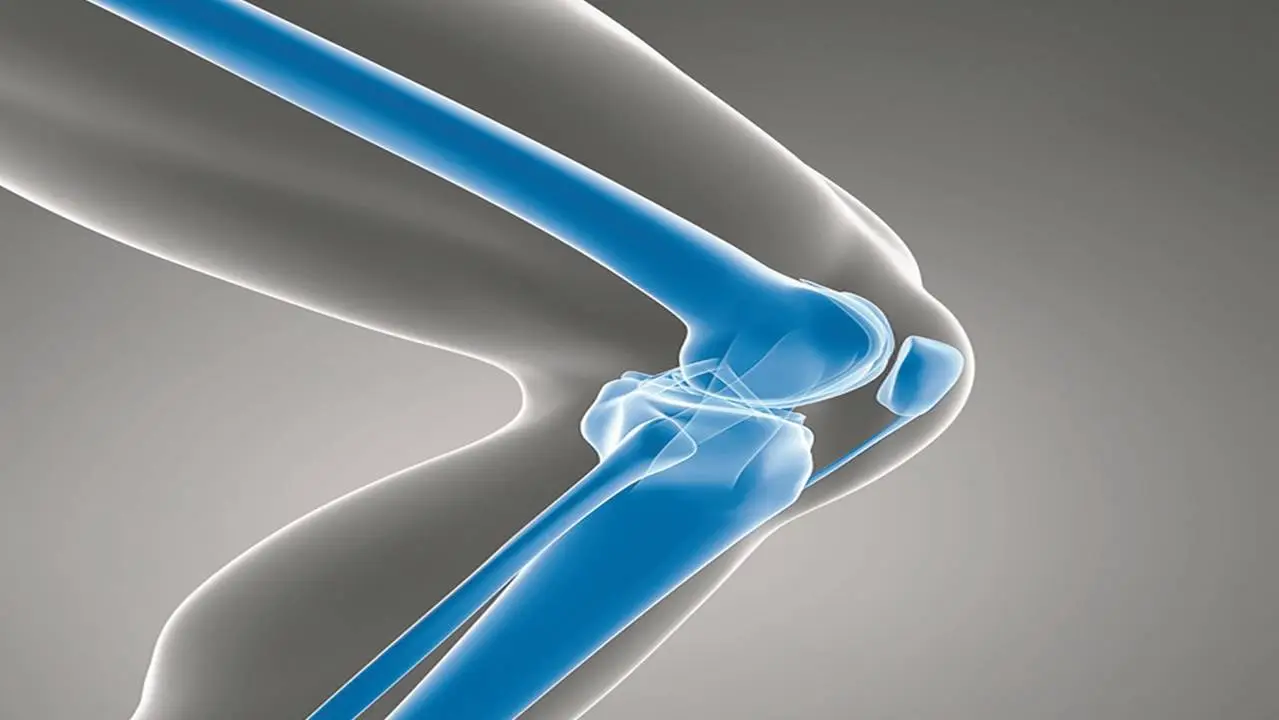 knee joint replacement devices