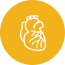 Ventricular Septal Defect (VSD)