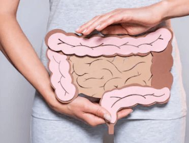 Large Intestine