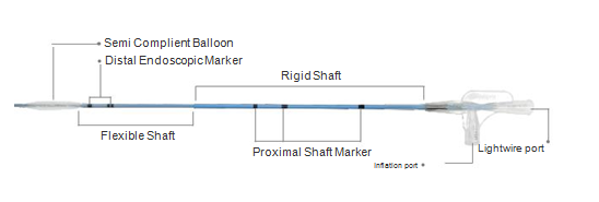 MESIRETM Balloon Catheter