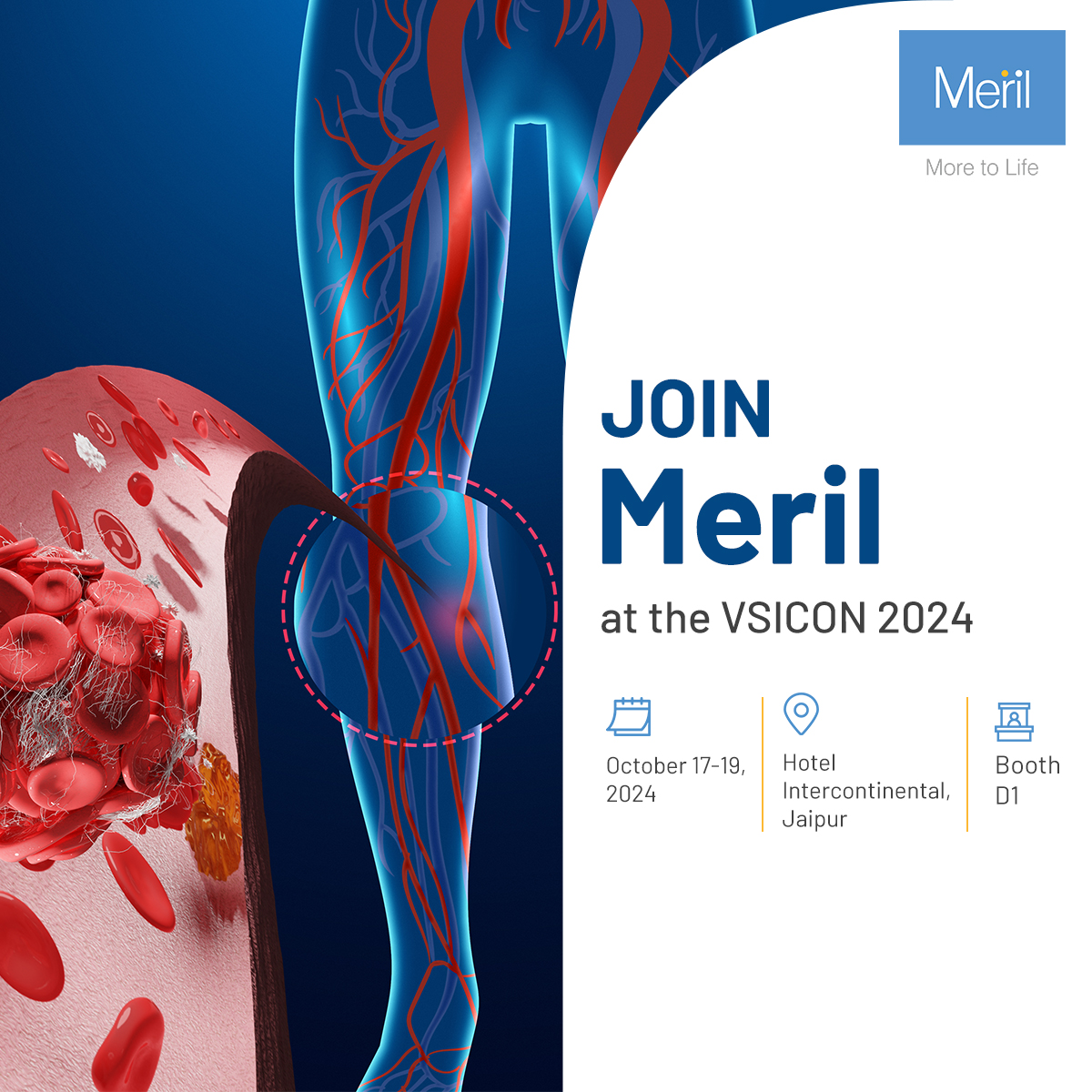 Meril at the 31st Annual VSICON, in association with World Federation of Vascular Societies!