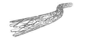 BioMime - Drug Eluting Coronary Stent