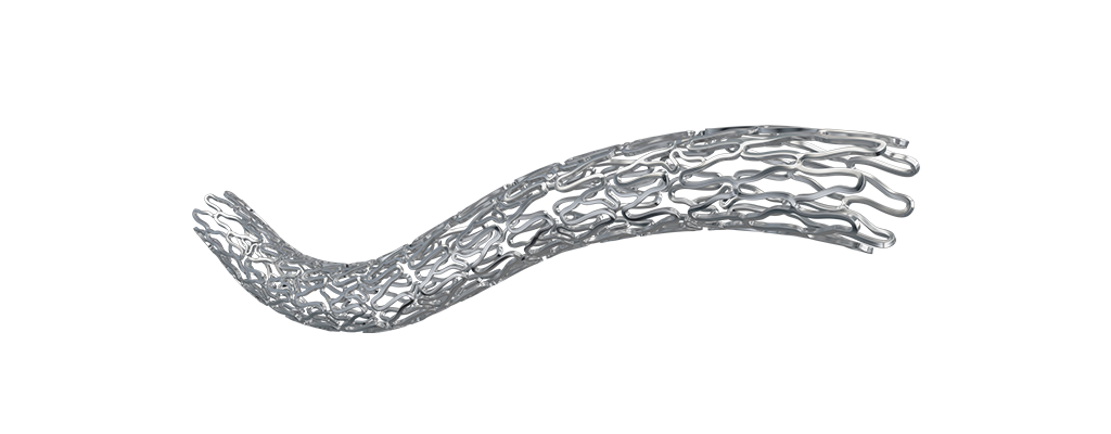 BioMime Morph - Drug Eluting Stent