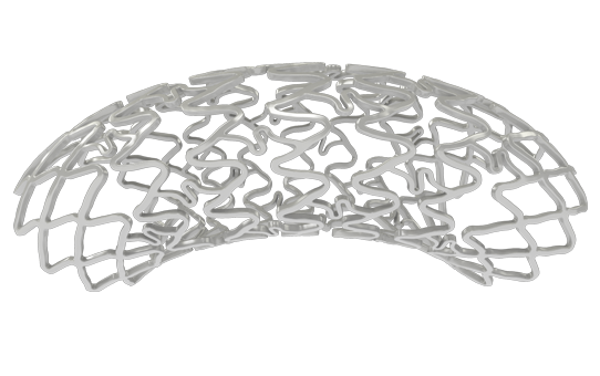 Nesgen - Bare Metal Stent for Coronary Artery Disease