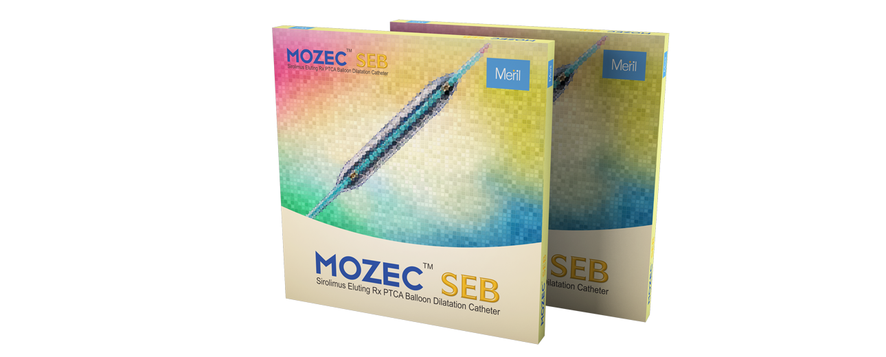 MOZEC SEB Balloon Catheter