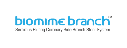 BioMime Branch - bifurcation stent system BioMime Branch - bifurcation stent system