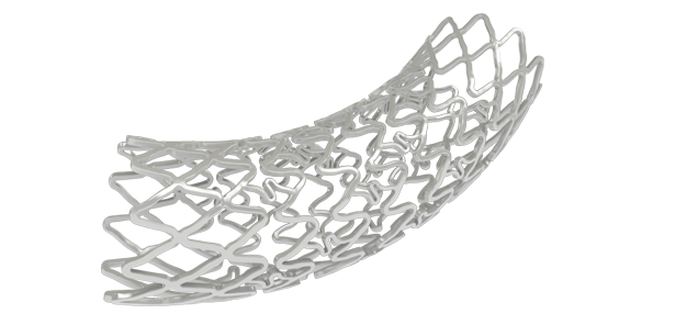 Nexgen - Bare metal stent