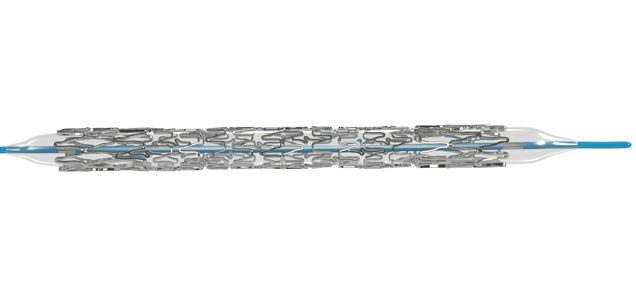 Myra BMS - Renal Stents