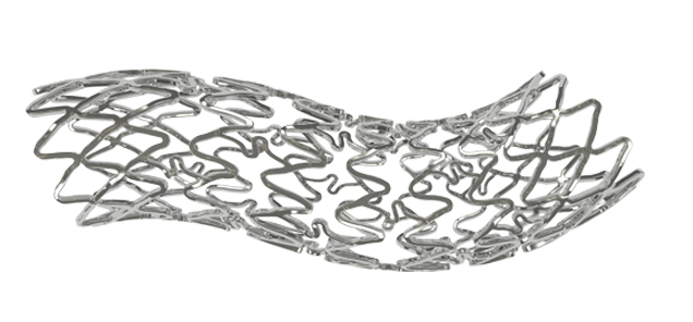 Metafor: Sirolimus Eluting Coronary Stent System