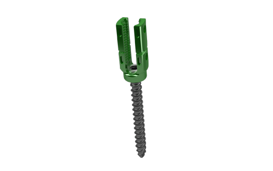 ClincH 5.5: Thoracic & Lumbar Fixation for Fractures