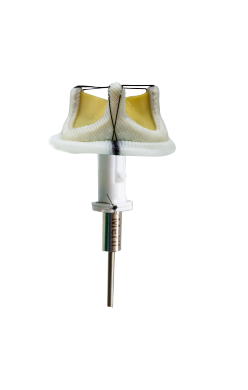 Dafodil Pericardial Bioprosthesis