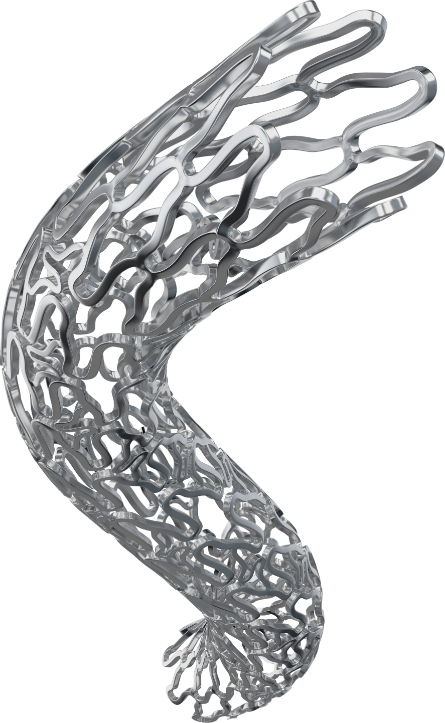 EVERMINE50 Angioplasty Stent