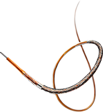 Coronary Stents